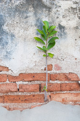 Similar image 8585633