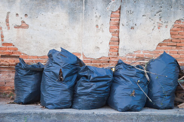 Similar image 8585636