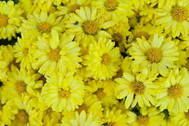 Similar image 8585670