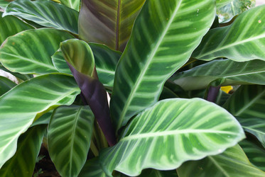 Similar image 8585682