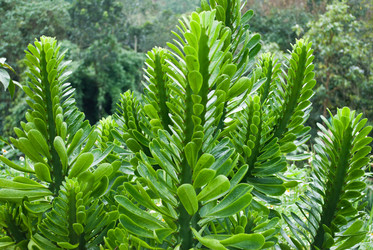 Similar image 8585683