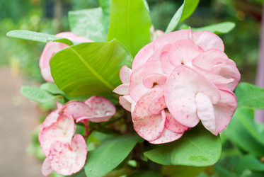 Similar image 8585684