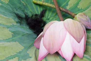 Similar image 8585686