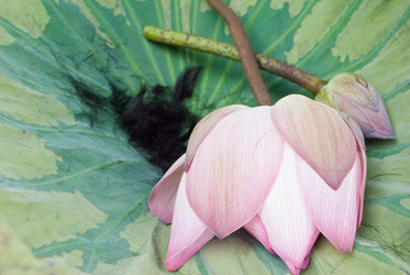 Similar image 8585687