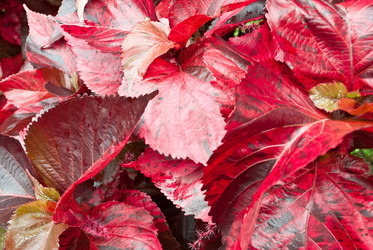 Similar image 8585688