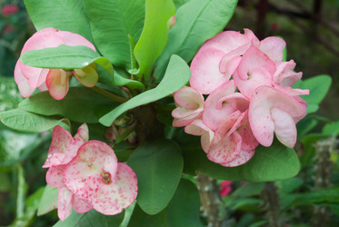 Similar image 8585693