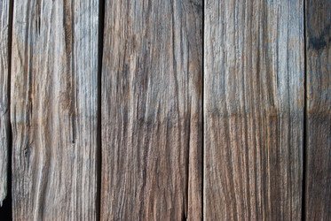 Similar image 8585709