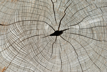 Similar image 8585710