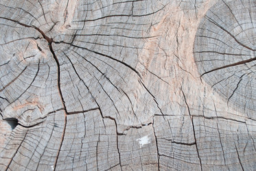 Similar image 8585711