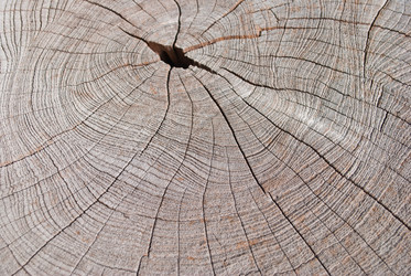 Similar image 8585713