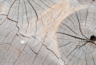 Similar image 8585714