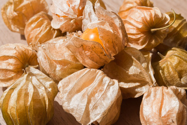 Similar image 8585715