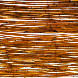 Similar image 8585721