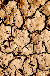 Similar image 8585743