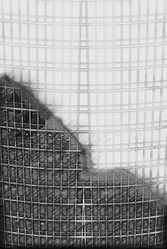 Similar image 8585773