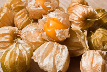 Similar image 8585826