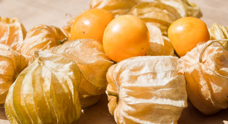 Similar image 8585831