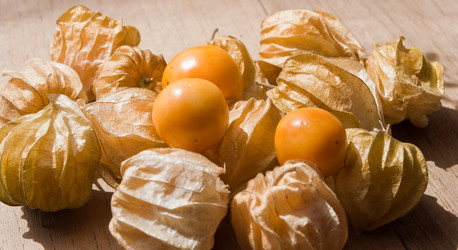 Similar image 8585838