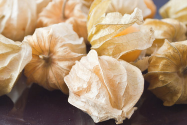 Similar image 8585839