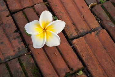 Similar image 8585868