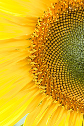 Similar image 8585923