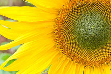 Similar image 8585925