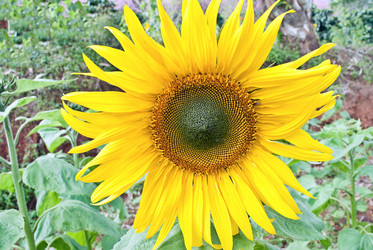 Similar image 8585927