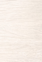 Similar image 8586072