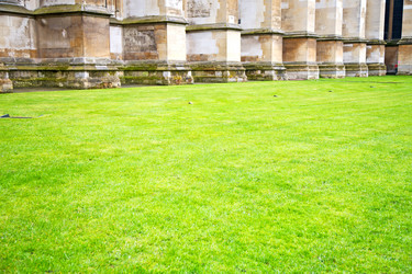 Similar image 8586084