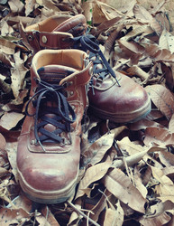 Similar image 8586103