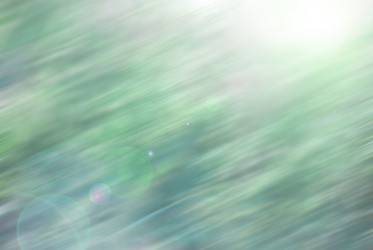 Similar image 8586184