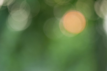 Similar image 8586193