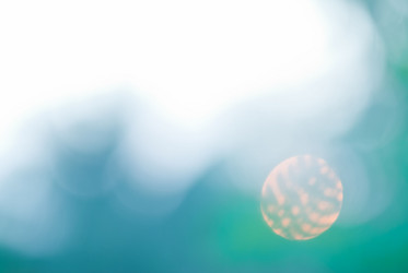 Similar image 8586195