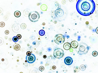 Similar image 8586407