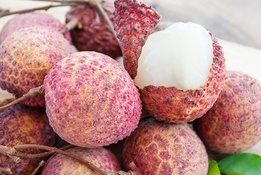 Similar image 8586560