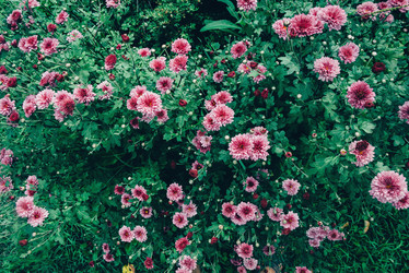 Similar image 8586788