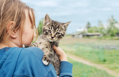 Similar image 8586839