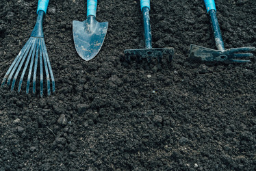 Similar image 8586841