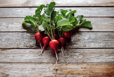 Similar image 8586842