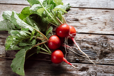 Similar image 8586843