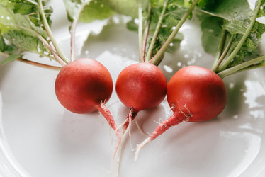 Similar image 8586847