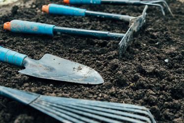 Similar image 8586857