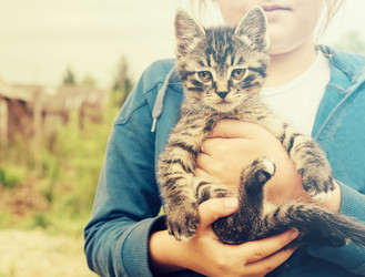 Similar image 8586880