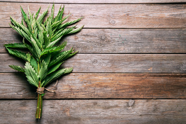 Similar image 8586885