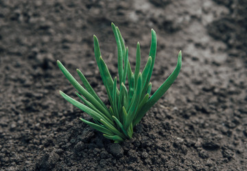 Similar image 8586886