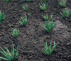 Similar image 8586888