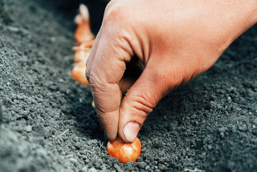 Similar image 8586896