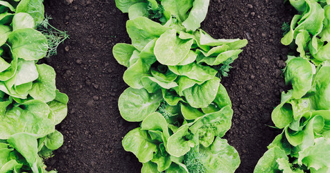 Similar image 8586898