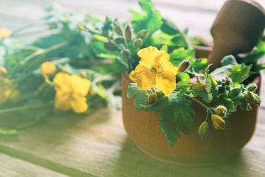 Similar image 8586920