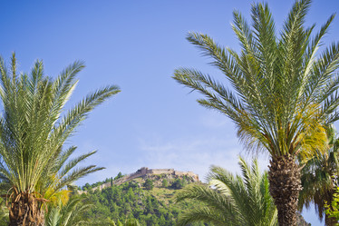 Similar image 8586944